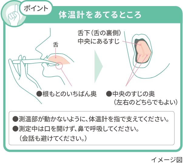 ポイント 体温計をあてるところ