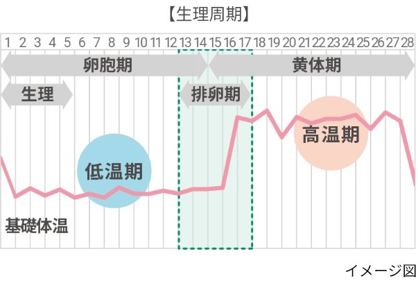 【生理周期】