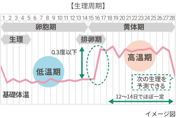 【生理周期】