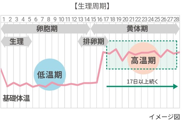 【生理周期】