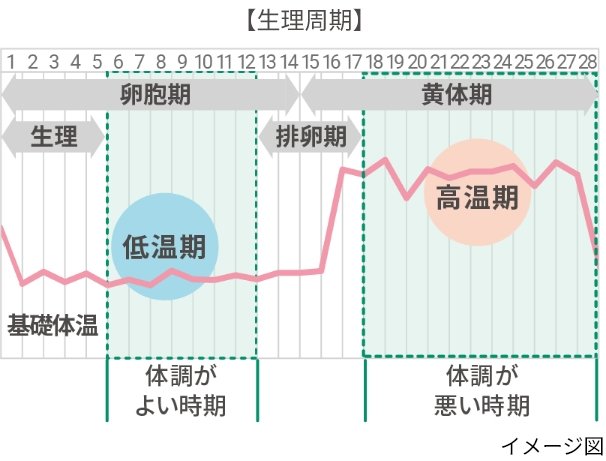 【生理周期】