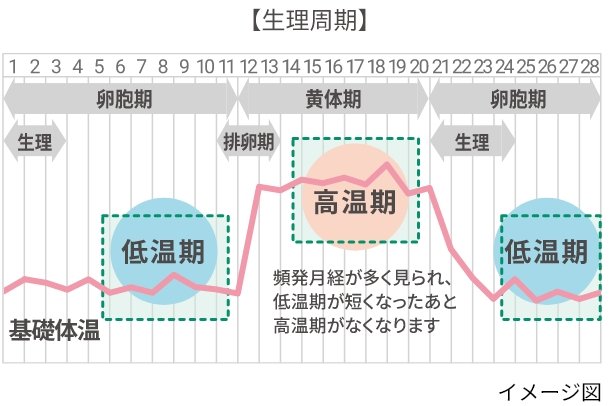 【生理周期】