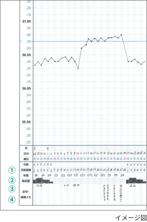 基礎体温表の記入方法