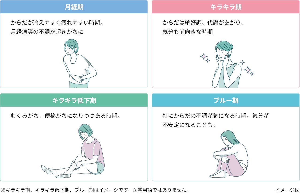 【月経期】からだが冷えやすく疲れやすい時期。月経痛等の不調が起きがちに。【キラキラ期】からだは絶好調。代謝があがり、気分も前向きな時期。【キラキラ低下期】むくみがち、便秘がちになりつつある時期。【ブルー期】特にからだの不調が気になる時期。気分が不安定になることも。